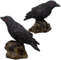 Skiennix 2PCS Resin Crow Raven Statues - Black Bird Halloween Decor | Realistic Design