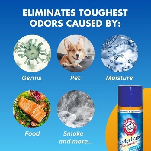 Fabric and Carpet Foam Deodorizer Professional, Aerosol, Fresh Scent, 15 fl oz (Case of 8)