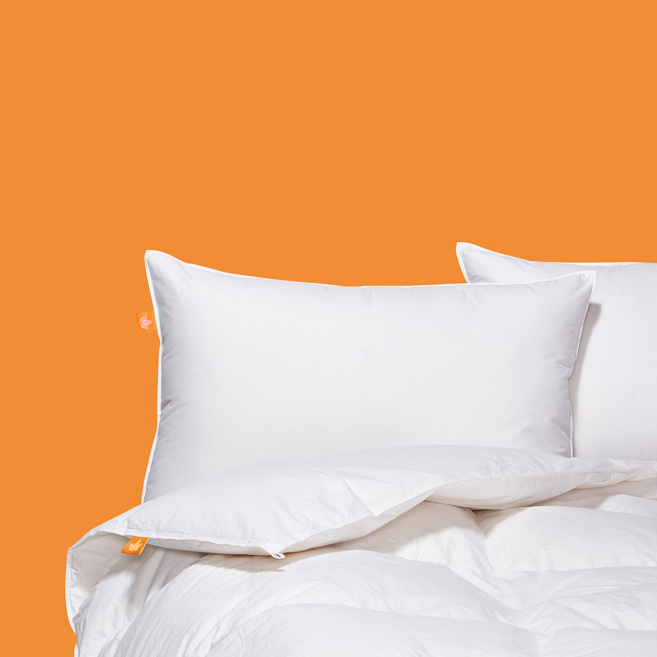 Canadian Down & Feather Co. - All Season White Goose Feather Duvet Comforter Twin Size - 233 TC Shell 100% Cotton - Oeko TEX Certified