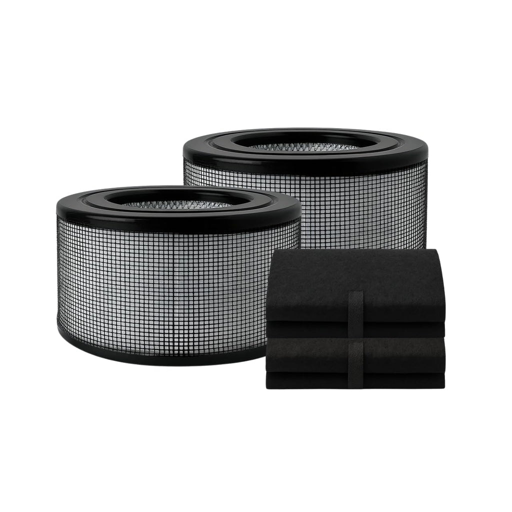 Nispira 20500 High Efficiency True HEPA Filter Replacement Carbon Pre Filter for Honeywell Air Purifier 10500 (EV-10) 17000 17000-S 17005 2 Sets