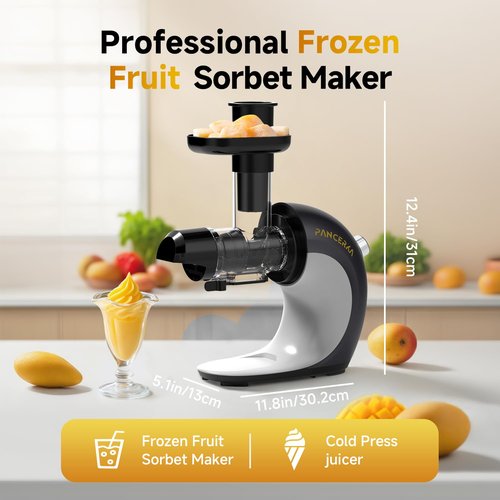 Frozen Fruit Sorbet Maker - Soft Ice Cream Maker for Healthy Vegetarian and Dairy Free Snacks, Easy to Clean (Silver Gray - Sorbet Maker)