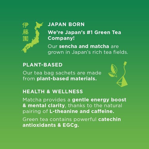 Matcha Love Japanese Matcha + Green Tea, 10 Premium Tea Bags (Pack of 6)
