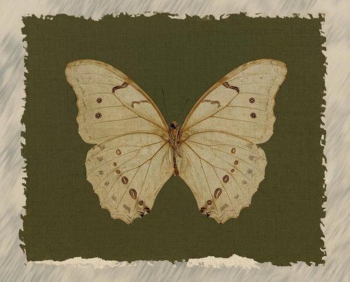MakeRight Gold Framed Butterfly Canvas Art - Vintage Wall Decor for Kitchen, Bedroom & Living Room