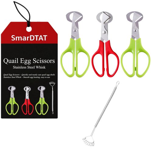 Quail Egg Scissors, Egg Yolk Separator, Stainless Steel Whisk (3 PCS)