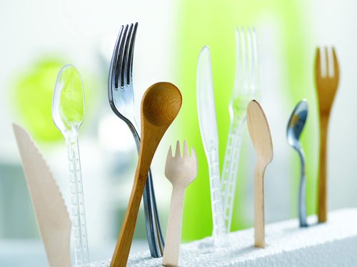 PacknWood - 210SPKBEM - Individually Wrapped Forks - 100% Natural and Compostable Bamboo Cutlery, Disposable Plastic Spork - Eco-Friendly Wooden Cutlery (Case of 250)