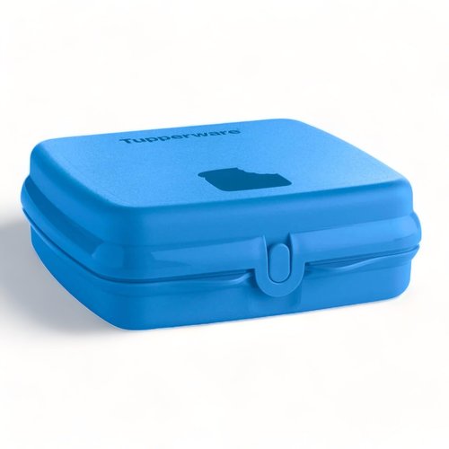Tupperware Sandwich Keeper Set of 2 in Blue
