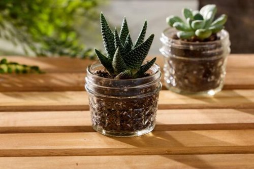 Ball 4-Ounce Quilted Crystal Jelly Jars with Lids and Bands, Set of 12-3 Pack (Total 36 Jars)