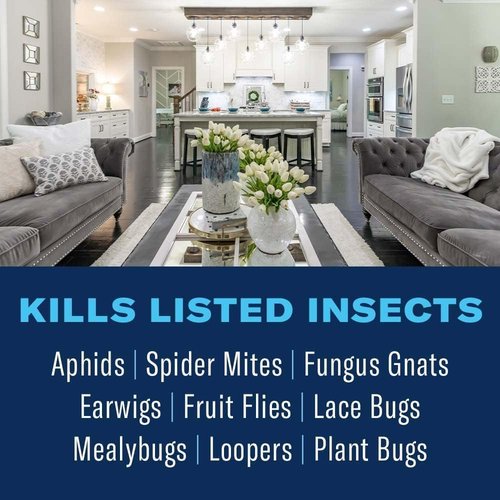 BioAdvanced Houseplant Insect & Mite Control - 24 oz Ready-to-Use Spray for Fungal Disease & Fungus Gnats