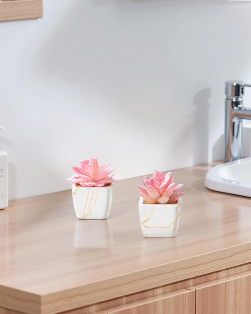 Taybonds Artificial Succulent in 2PCS White Ceramic Pot, Small Fake Succulents Plants for Office and Desk Decor,Bathroom, Bedroom, Shelves, Vanity for Women