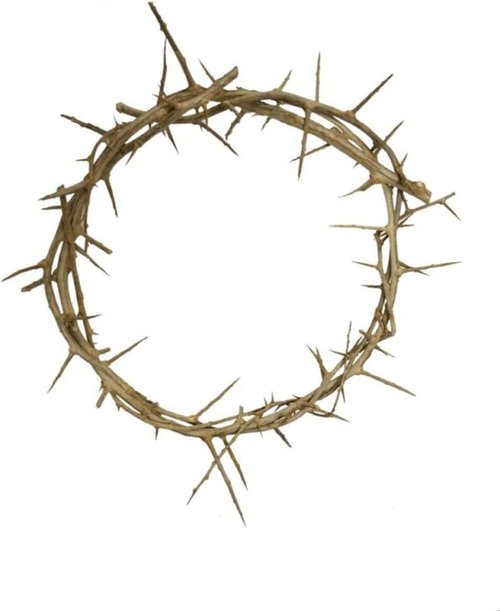 Bethlehem Gifts™ Crown of Thorns | Authentic Life-Size Design (4-6" Diameter) from Jerusalem