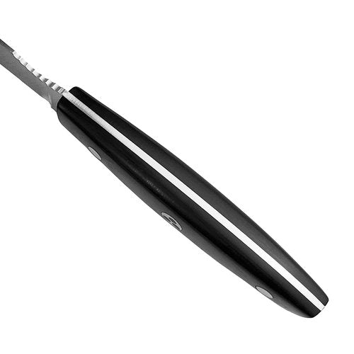Ergo Chef Pro Series 2.0 Steak Knives Set of 4 - Premium High Carbon Stainless Steel Blades, Black Pakkawood Handles, Straight Edge with Serrated Tip for Enhanced Cutting Performance