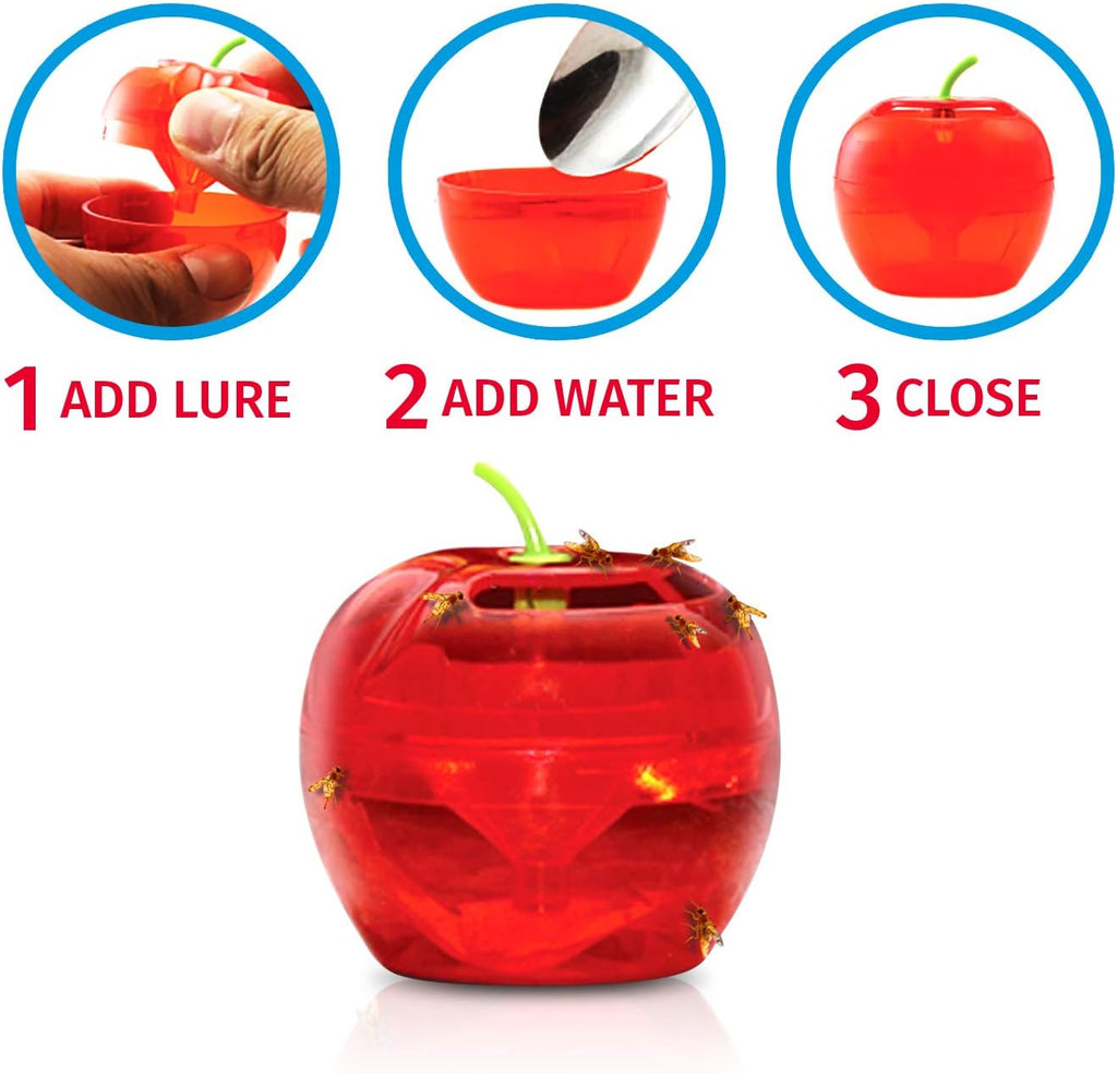 Raid Fruit Fly Traps - Effective Indoor Gnat Catcher with 2 Lures & 2 Refills | Safe, Easy-to-Use Solution