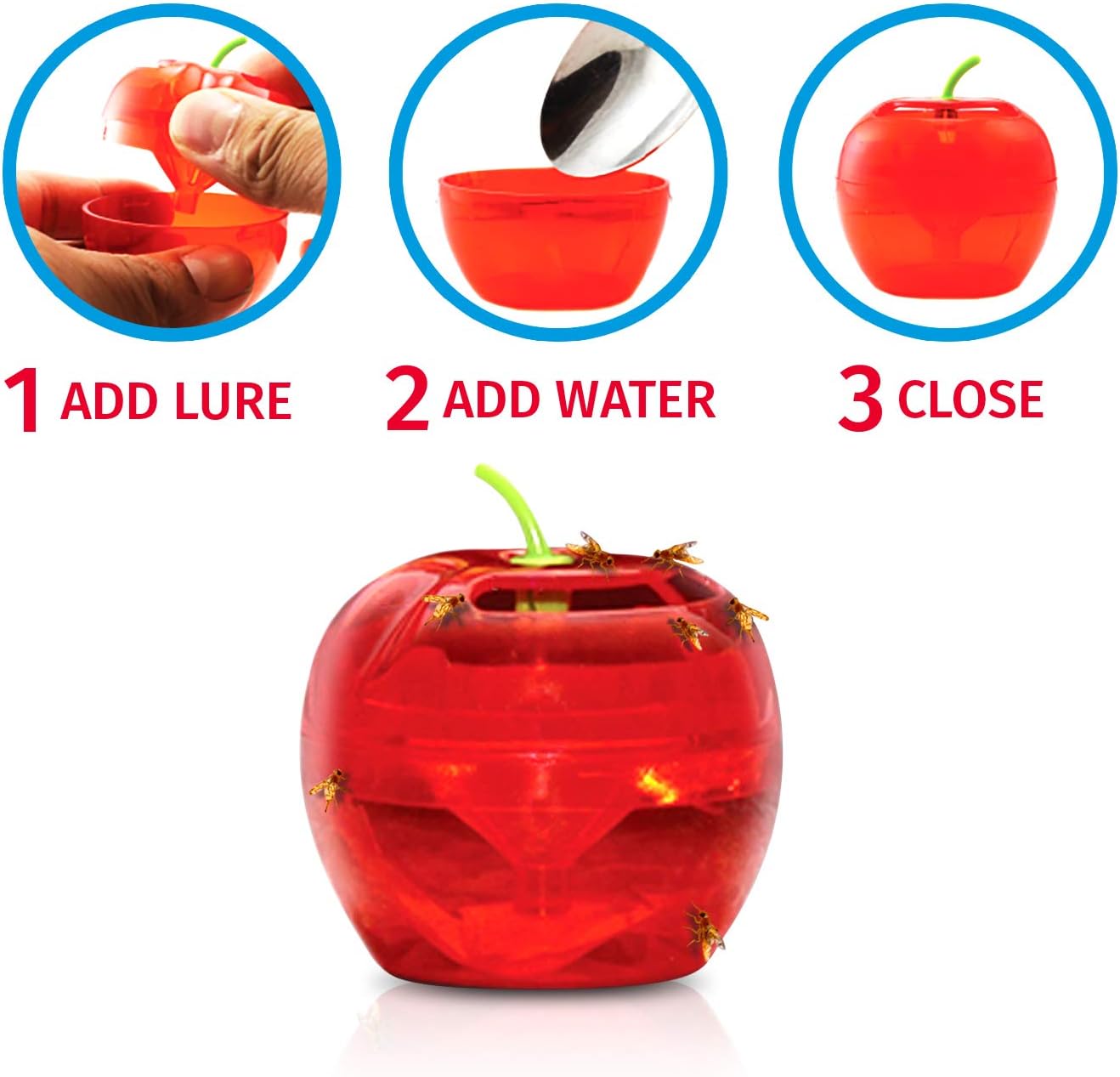 Raid Fruit Fly Traps - Effective Indoor Gnat Catcher with 2 Lures & 2 Refills | Safe, Easy-to-Use Solution