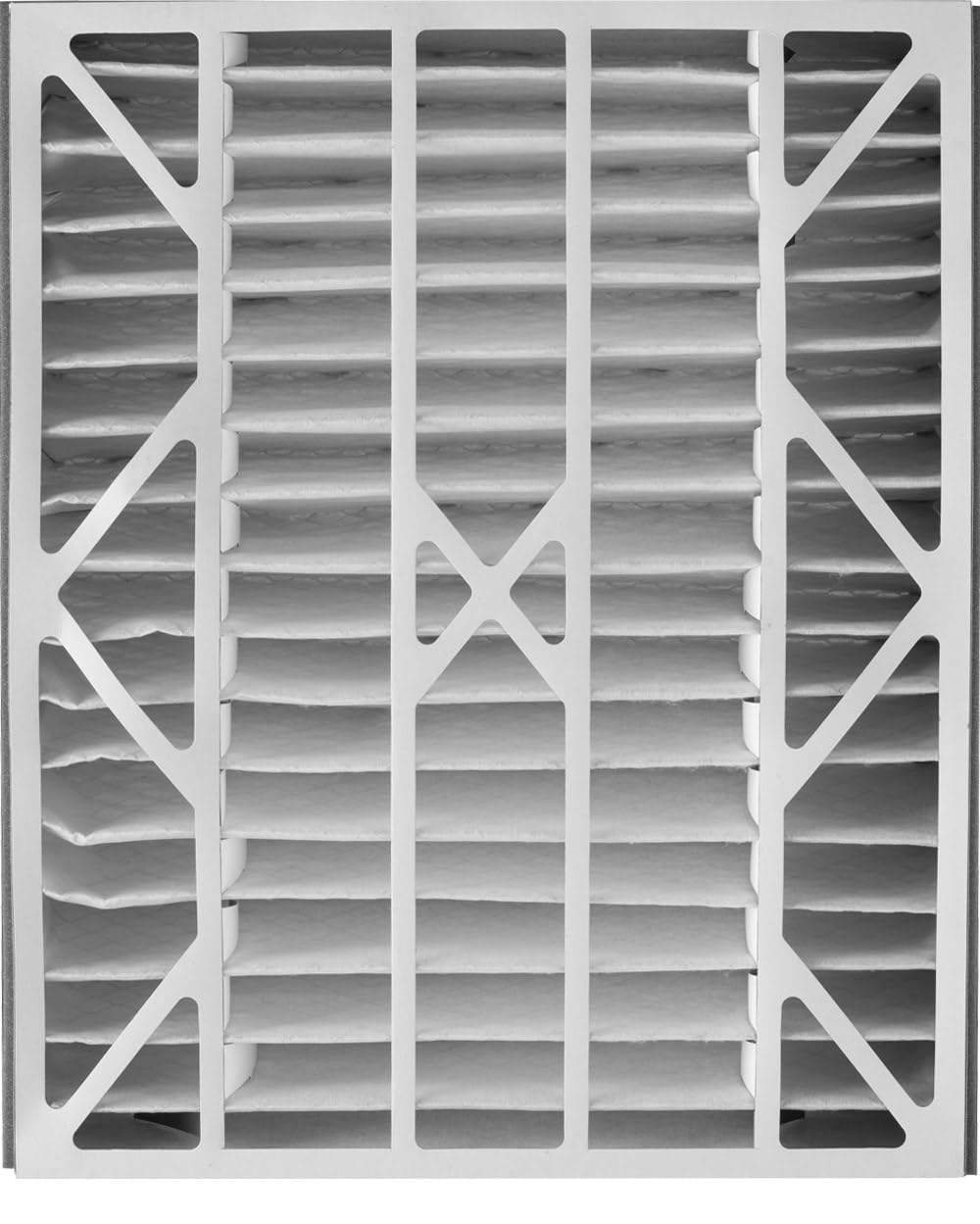 Nordic Pure 20x25x5 (19 3/4 x 24 1/4 x 4 7/8) Air Bear Replacement 259112-102 MERV 12 Air Filter 1 Pack