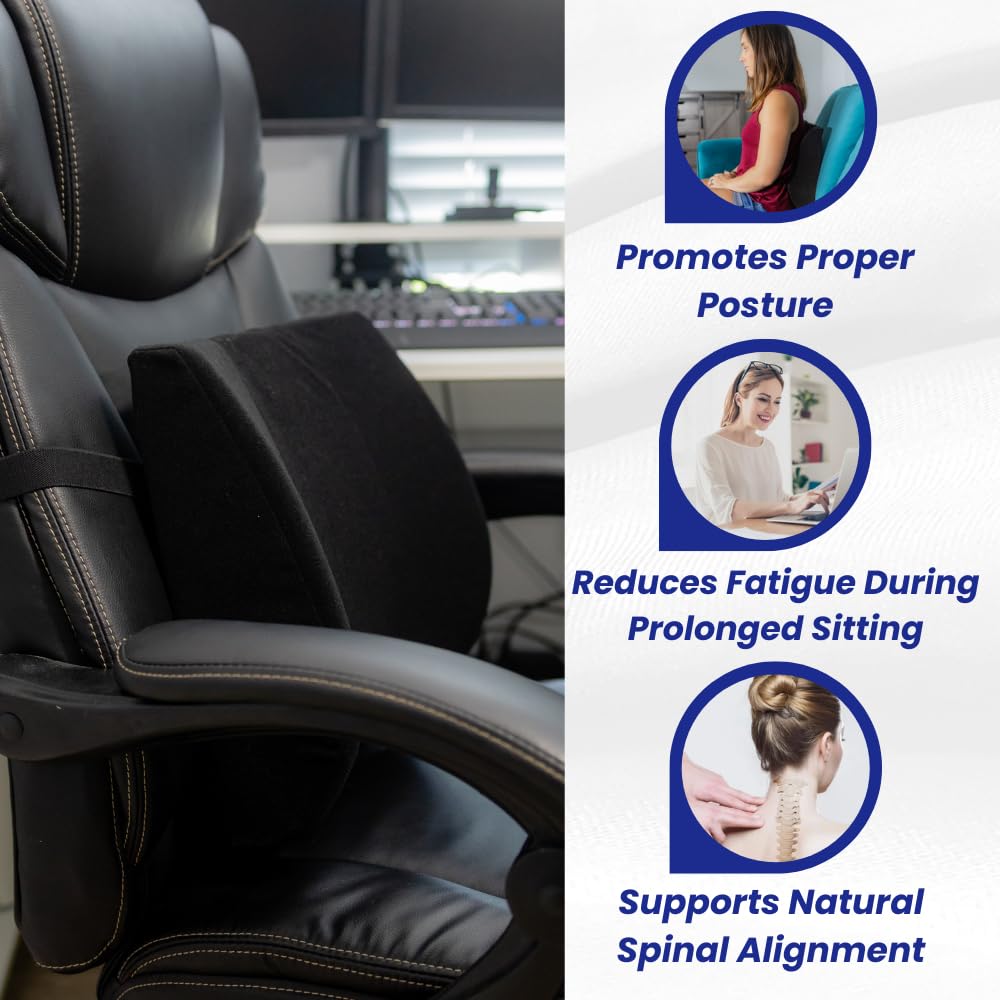 Bodyline Back-Huggar - Traditonal/Regular Style - The Original Lumbar Cushion - Black