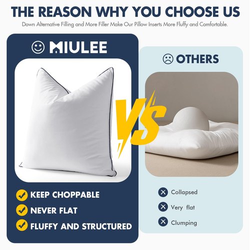 MIULEE 24x24 Euro Pillow Inserts, Fluffy Down Alternative Filling Pack of 2 Ultra Soft Throw Pillows for Bed Sofa Couch