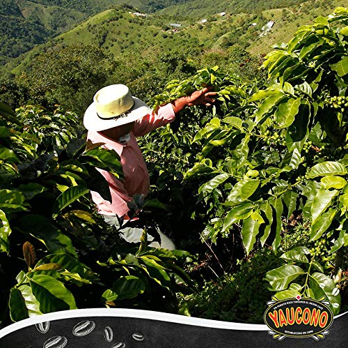 Yaucono Decaf Ground Coffee 8.8 Ounce Canister (Pack of 1)