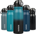 BJPKPK Insulated Water Bottle - 25oz Stainless Steel Flask with Straw, Leak-Proof Lid & Carry Handle | Indigo Black
