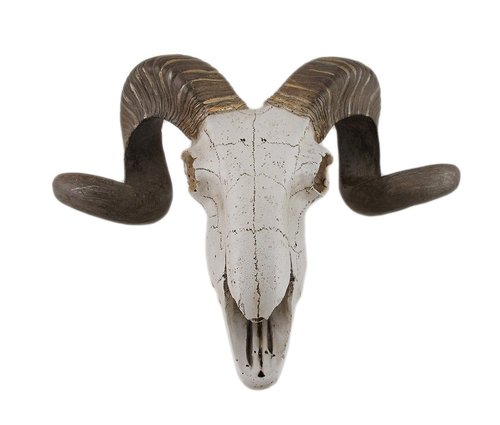 Deco 79 Polystone Sheep Home Wall Decor Skull Wall Sculpture, Wall Art 14" x 5" x 12", White