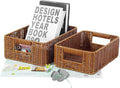 Regine Switzerland Plastic Storage Baskets - Durable Water-Resistant Organizers for Shelves & Cabinets | Set of 2, Dark Brown