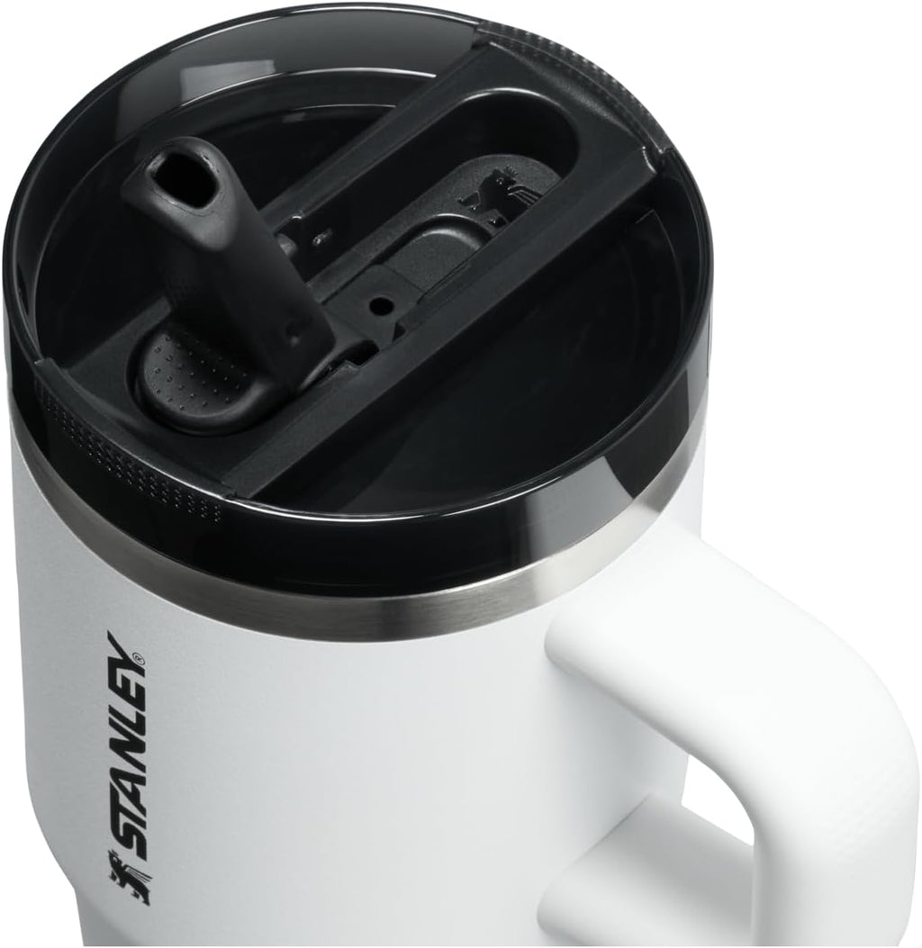 STANLEY Quencher ProTour 20 oz Tumbler - Leakproof Lid, Built-In Straw & Handle | Insulated Stainless Steel | BPA-Free | Chalk