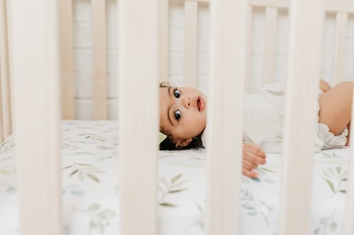 Copper Pearl Premium Knit Baby Crib Sheets for Standard Mattresses, Breathable and Soft, Haven