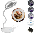 Magnifying Glass with Light - 5X Hands-Free Desk Magnifier for Seniors & Hobbies | Adjustable Stand