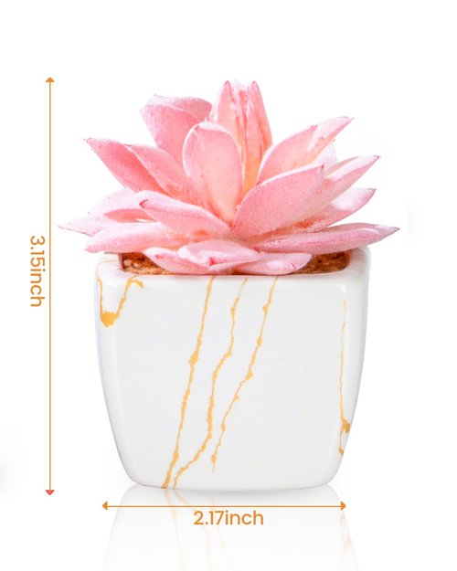 Taybonds Artificial Succulent in 2PCS White Ceramic Pot, Small Fake Succulents Plants for Office and Desk Decor,Bathroom, Bedroom, Shelves, Vanity for Women