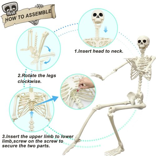 UMEELR 5.4FT Halloween Skeletons, Full Size Skeleton with Skeleton Dog, Plastic Life Size Human Skeletons for Halloween Graveyard Haunted House Party Decoration