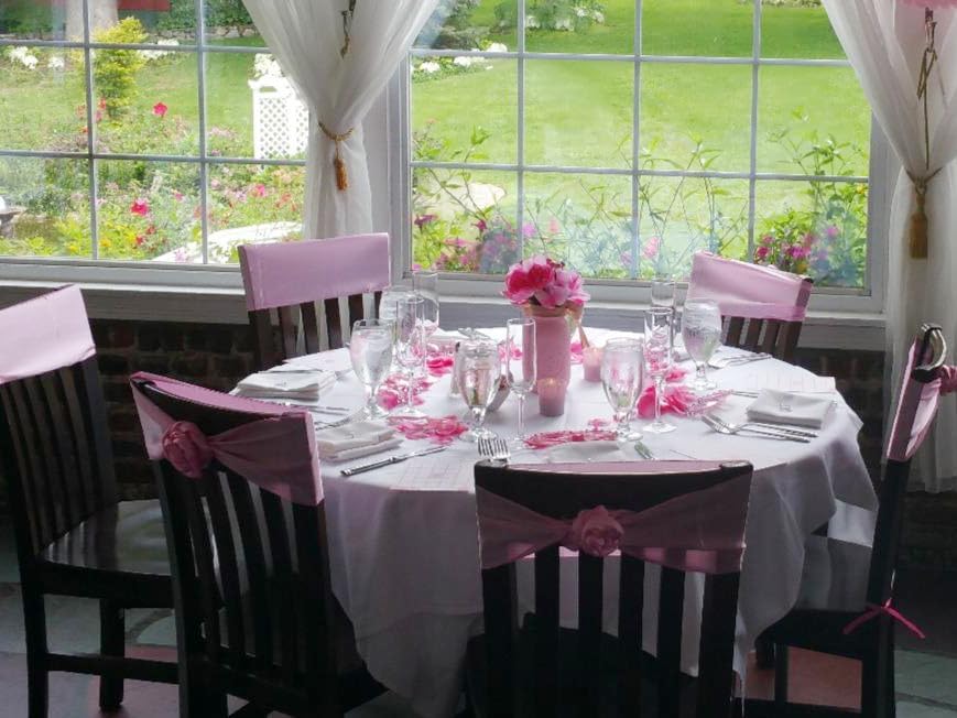 Regine Switzerland Satin Chair Sashes - Elegant Light Pink Chair Bows for Weddings & Parties (10 Pack)