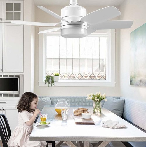 Lsliangmei Fan with ceiling light and remote control, no wiring required, 6 speed settings, suitable for indoor and kitchen use