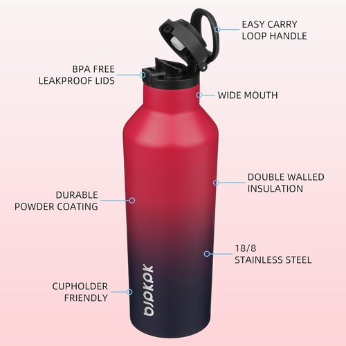 BJPKPK Insulated Water Bottle - 25oz Stainless Steel Flask with Straw & Carry Handle | Charming Black Red