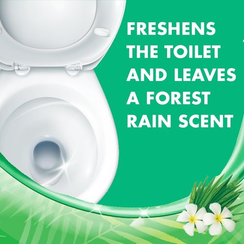 Lysol Toilet Bowl Cleaner Gel - Powerful Stain Removal & Disinfection | Forest Rain Scent, 24oz (Pack of 2)