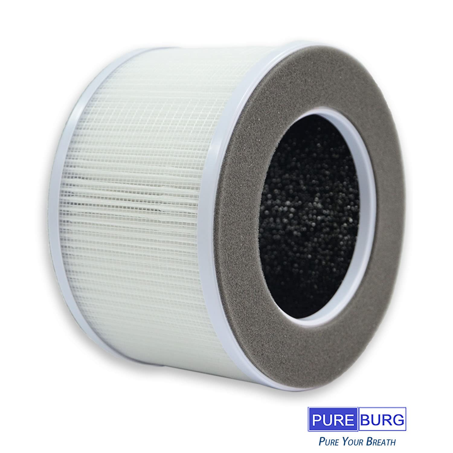 PUREBURG AP10-F3 Replacement Filter Compatible with Greenote AP10 Air Purifier,2-Pack H13 HEPA 4-Stage Filtration Activated Carbon 2-IN-1 Air Clean