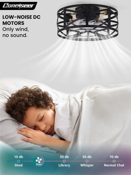 Conciseer 20 Inch Caged Ceiling Fans with Lights and Remote, Flush Mount, Low Profile 7 Blades, 6 Speed Reversible Quiet DC Motor for Bedroom, Kitchen and Living Room, Black