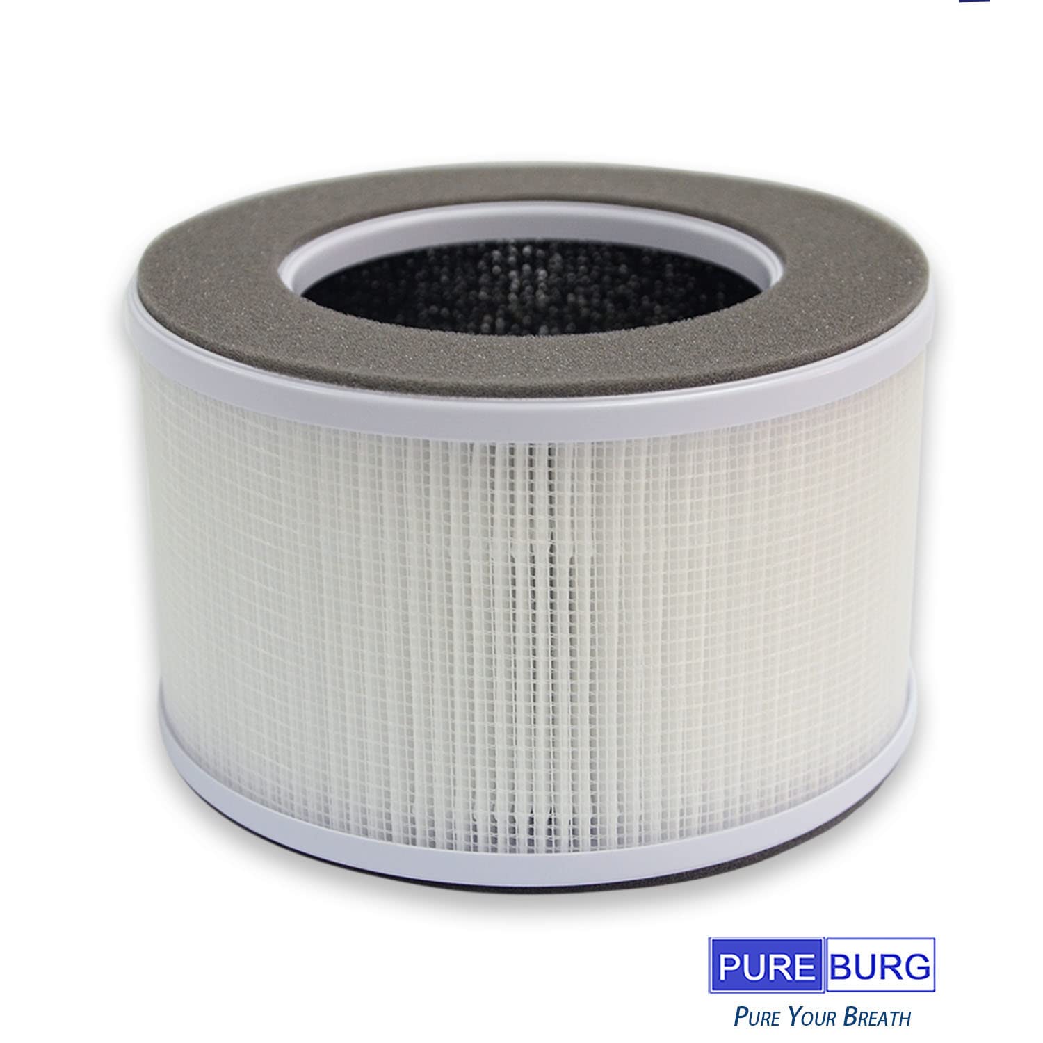 PUREBURG AP10-F3 Replacement Filter Compatible with Greenote AP10 Air Purifier,2-Pack H13 HEPA 4-Stage Filtration Activated Carbon 2-IN-1 Air Clean