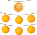 Skiennix 6 PCS Fly Sticky Trap Balls - Effective Fruit Fly & Gnat Catchers for Indoor & Outdoor Use