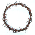 Brown Crown of Thorns 8-10" Diameter Passion of Christ Crown of Thorns Easter Tree Decorations Ornament mini Church for Sanctuary Prop Corona de espinas de Jesus(8-New)