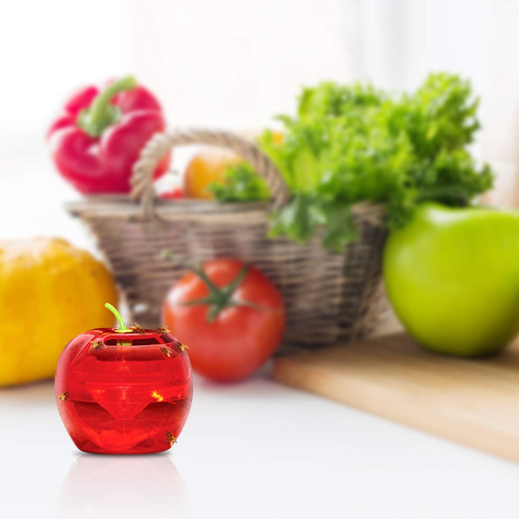 Raid Fruit Fly Traps - Effective Indoor Gnat Catcher with 2 Lures & 2 Refills | Safe, Easy-to-Use Solution