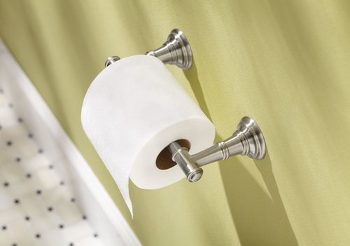 Moen DN9108BN Ellsworth Double Post Wall Mount Pivoting Toilet Paper Holder, Brushed Nickel