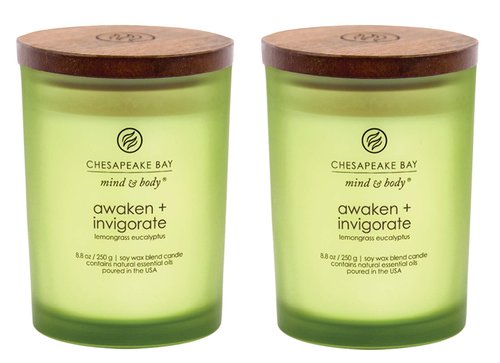 Chesapeake Bay Candle Scented Candles, Awaken + Invigorate (Lemongrass Eucalyptus), Medium 2-Pack, Green, Brown, 2 Count