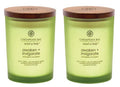 Chesapeake Bay Candle Scented Candles, Awaken + Invigorate (Lemongrass Eucalyptus), Medium 2-Pack, Green, Brown, 2 Count