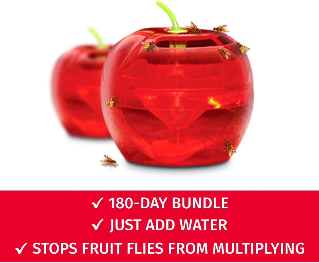 Raid Fruit Fly Traps - Effective Indoor Gnat Catcher with 2 Lures & 2 Refills | Safe, Easy-to-Use Solution