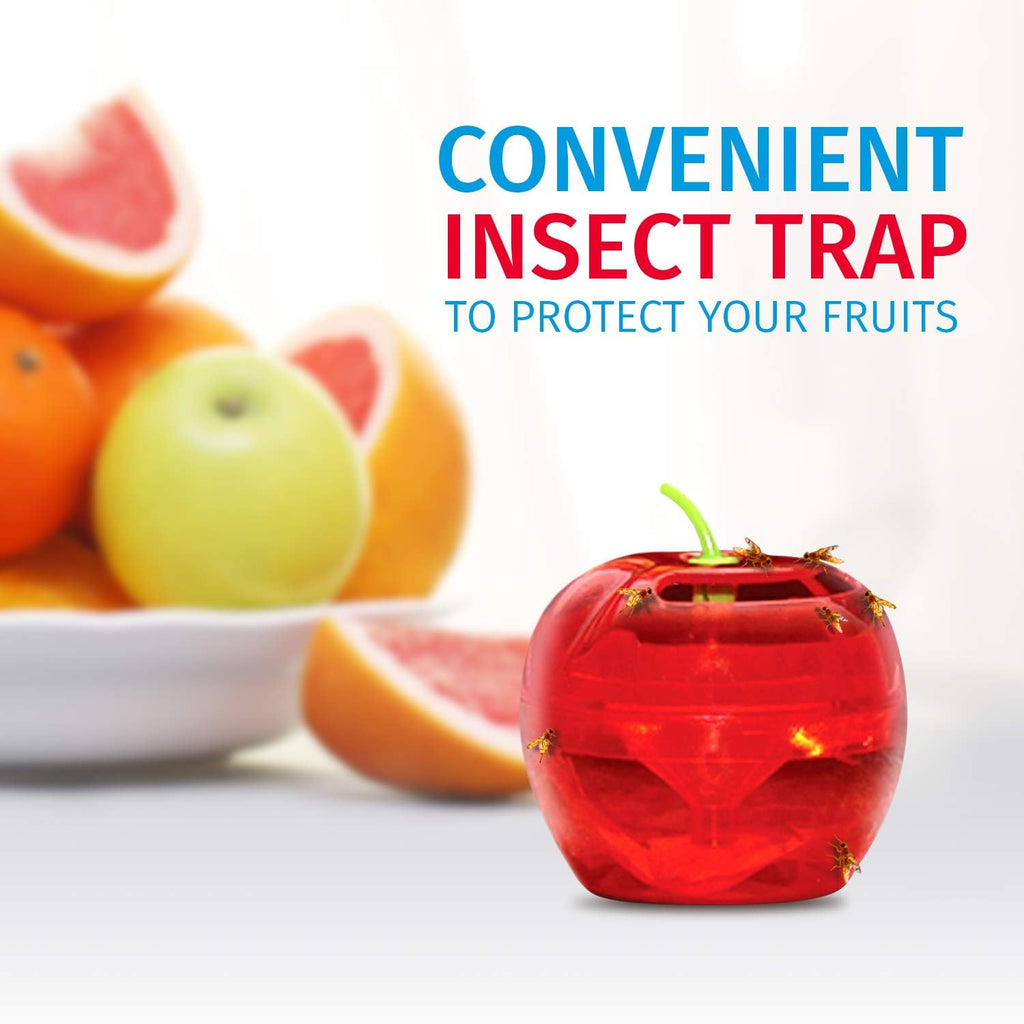 Raid Fruit Fly Traps - Effective Indoor Gnat Catcher with 2 Lures & 2 Refills | Safe, Easy-to-Use Solution