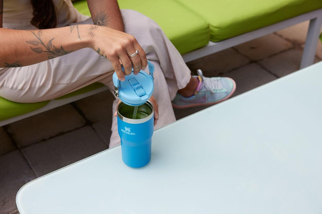 STANLEY IceFlow 2.0 Tumbler - 20 oz Insulated Stainless Steel Water Bottle | Flip Straw & Handle | BPA-Free | Twilight