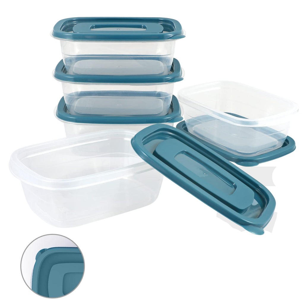 5PCS Small Food Storage Containers,Freezer Microwave safe,Food Container Sets,BPA Free Plastic Meal Prep Containers & Kitchen Set,Lunch Containers,use for School,Work and Travel,0.53 Quarts Per Box