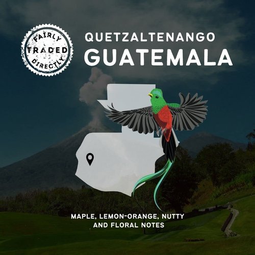 Canopy Point Coffee, Guatemala Medium Roast, Whole Bean, 5lb