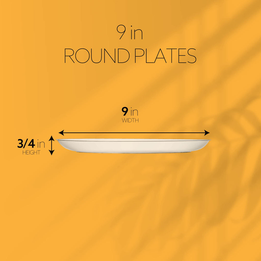 [9'' 240 Pack] 9'' inch Premium Heavy Weight Crystal Clear Classy Disposable hard Plastic Entree plates