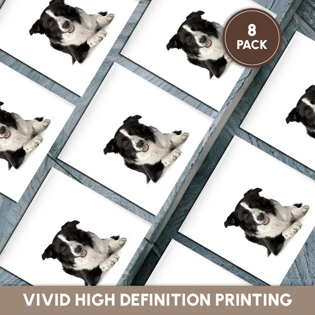 3dRose CST_21077_4 Border Collie Ceramic Tile Coasters, Set of 8