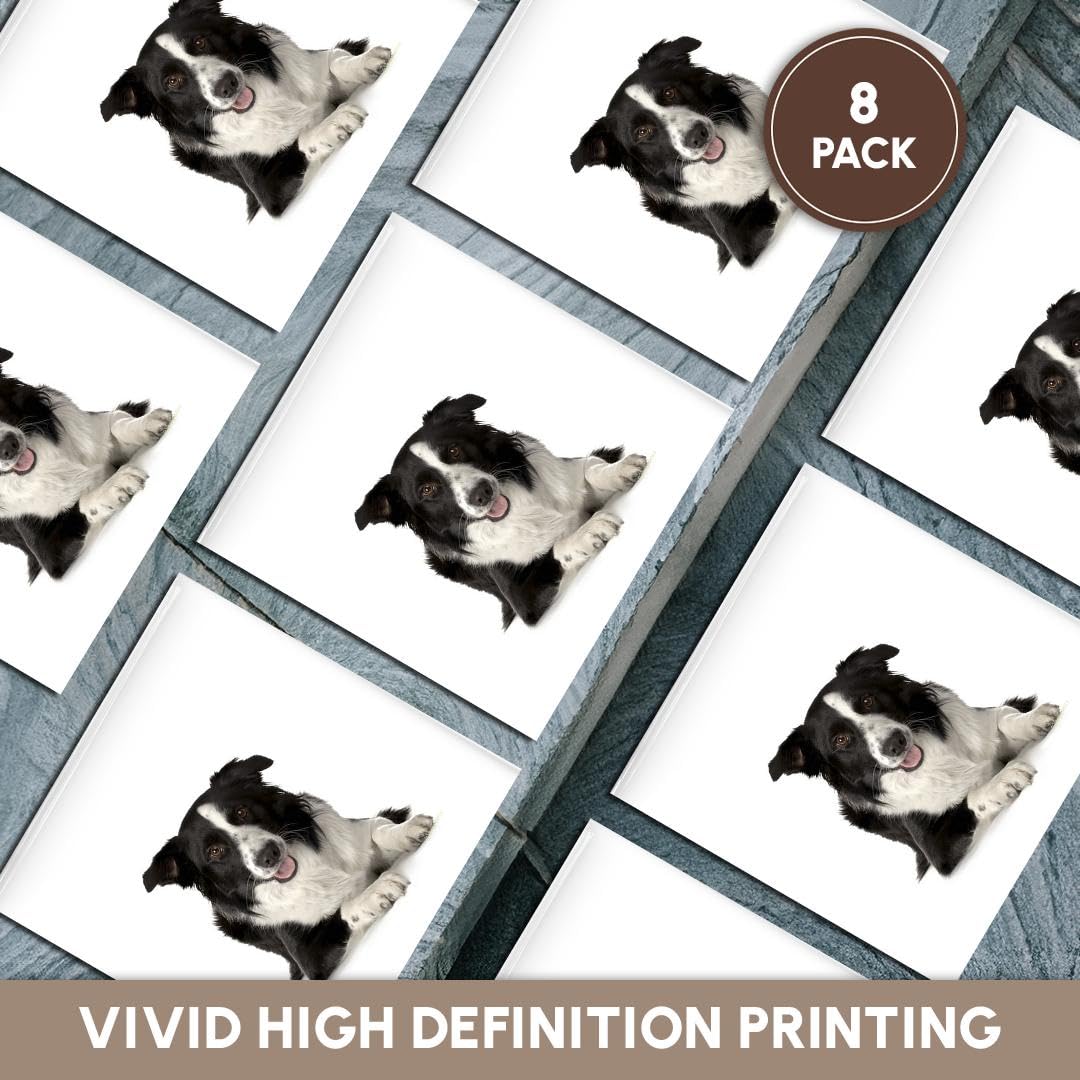 3dRose CST_21077_4 Border Collie Ceramic Tile Coasters, Set of 8